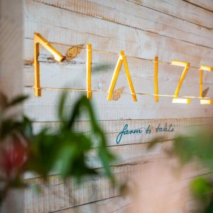 Fotografie MAIZE - 0